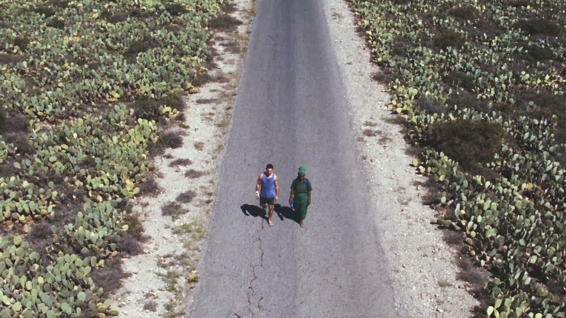 CEUTA — two figures walking along a road through cactus fields